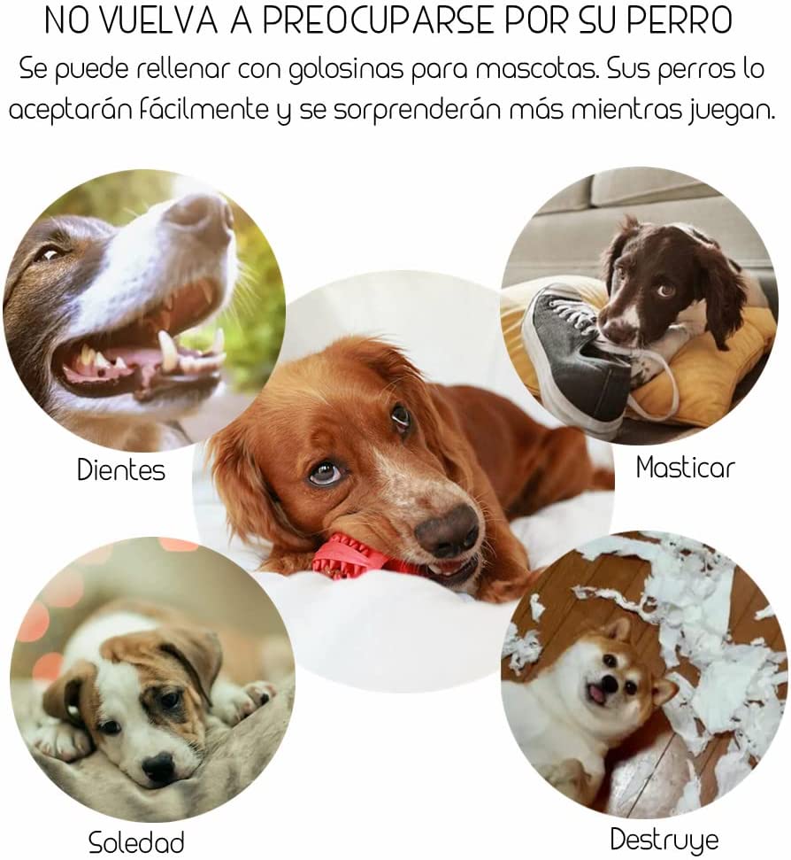 Pack 3 Juguetes para Limpiar los Dientes - AJR - Pelota Perro Indestructible, Goma No Tóxica