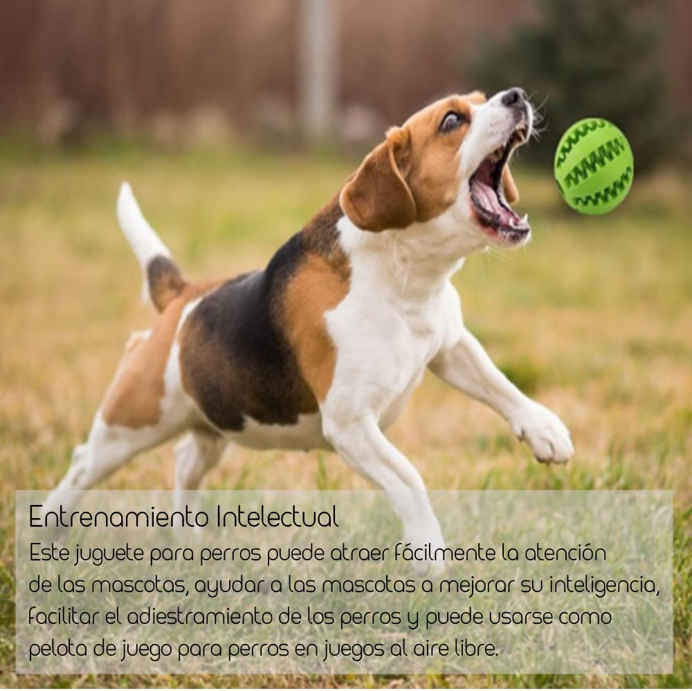 Pack 3 Juguetes para Limpiar los Dientes - AJR - Pelota Perro Indestructible, Goma No Tóxica