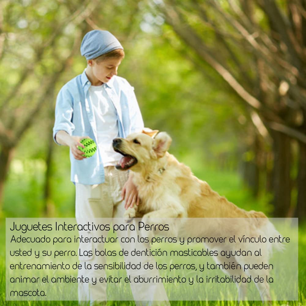 Pack 3 Juguetes para Limpiar los Dientes - AJR - Pelota Perro Indestructible, Goma No Tóxica