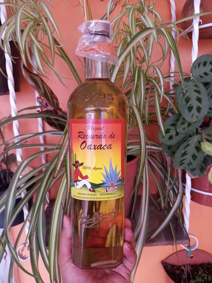 Botella Mezcal Sabores 1 LT Espadin Oaxaca Tamarindo, Fresa, Mango,