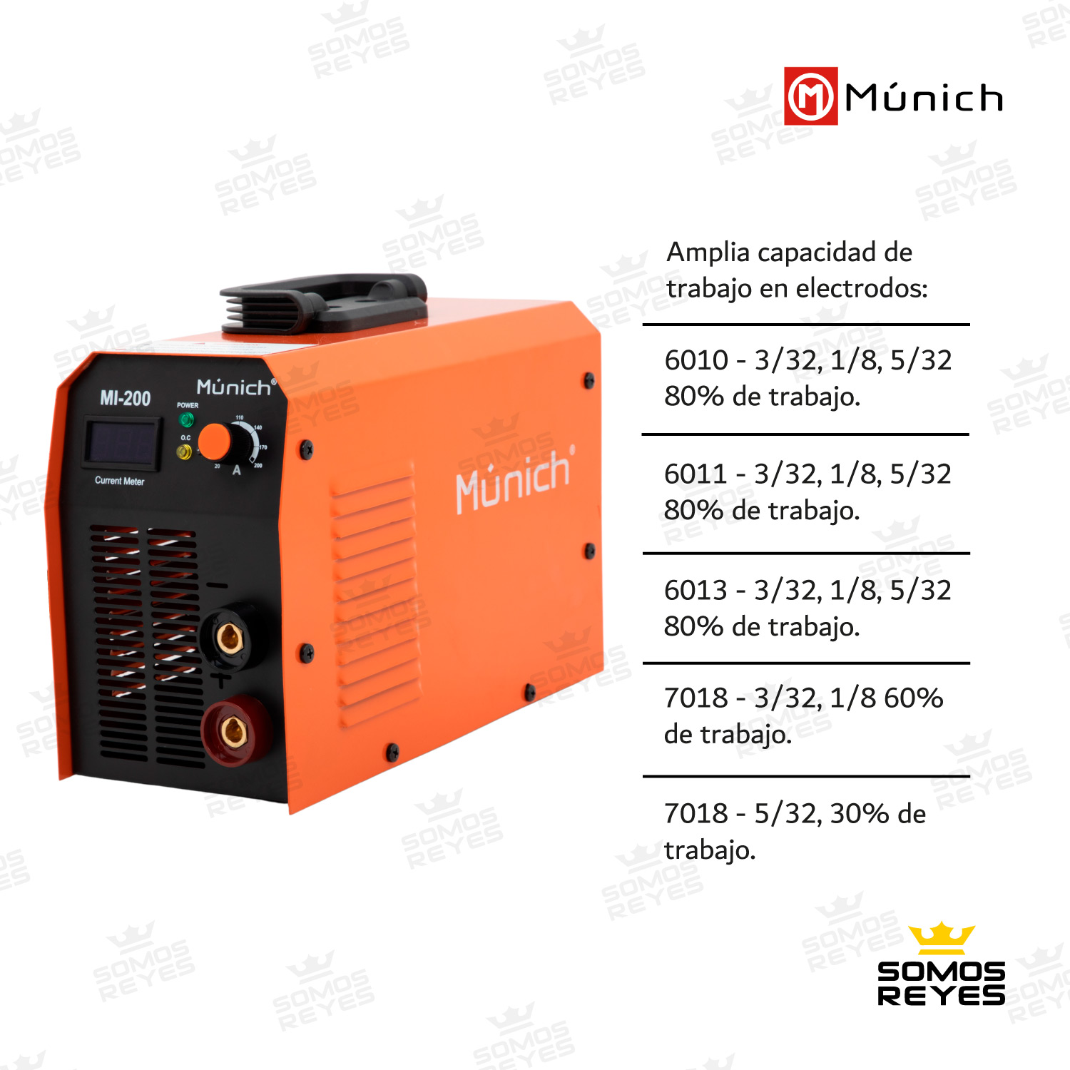 Soldadora Inverter Profesional Inversora 110/220v Munich 