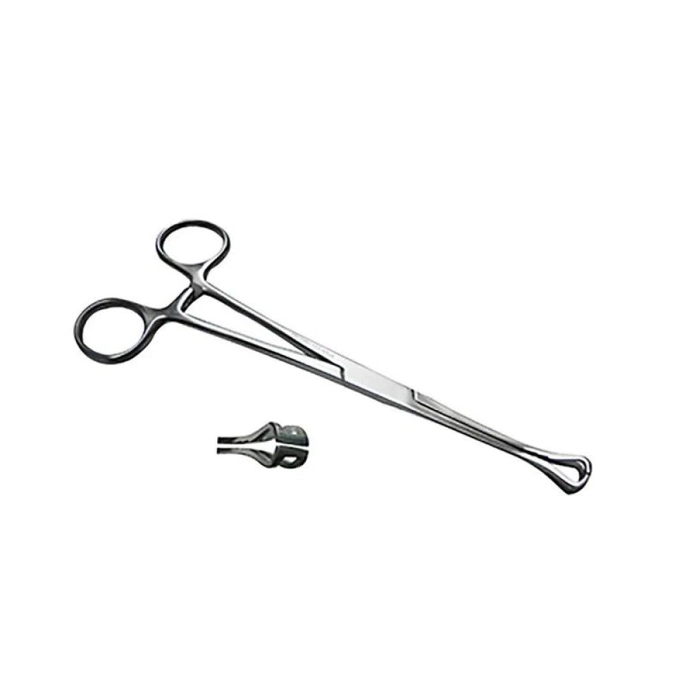 Pinza Babcock Acero Inoxidable 18 cm Hergom Silvery