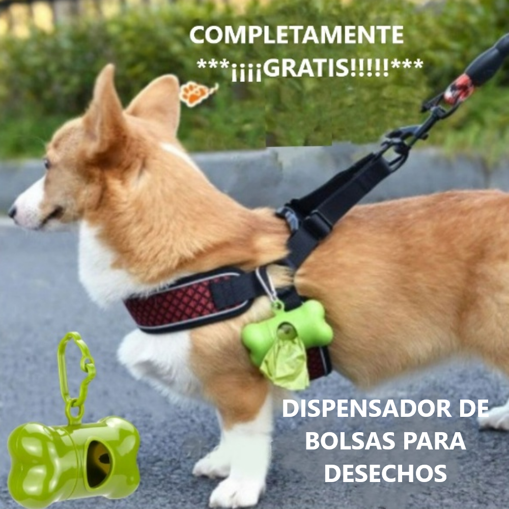 Correa retráctil para perros 5 metros