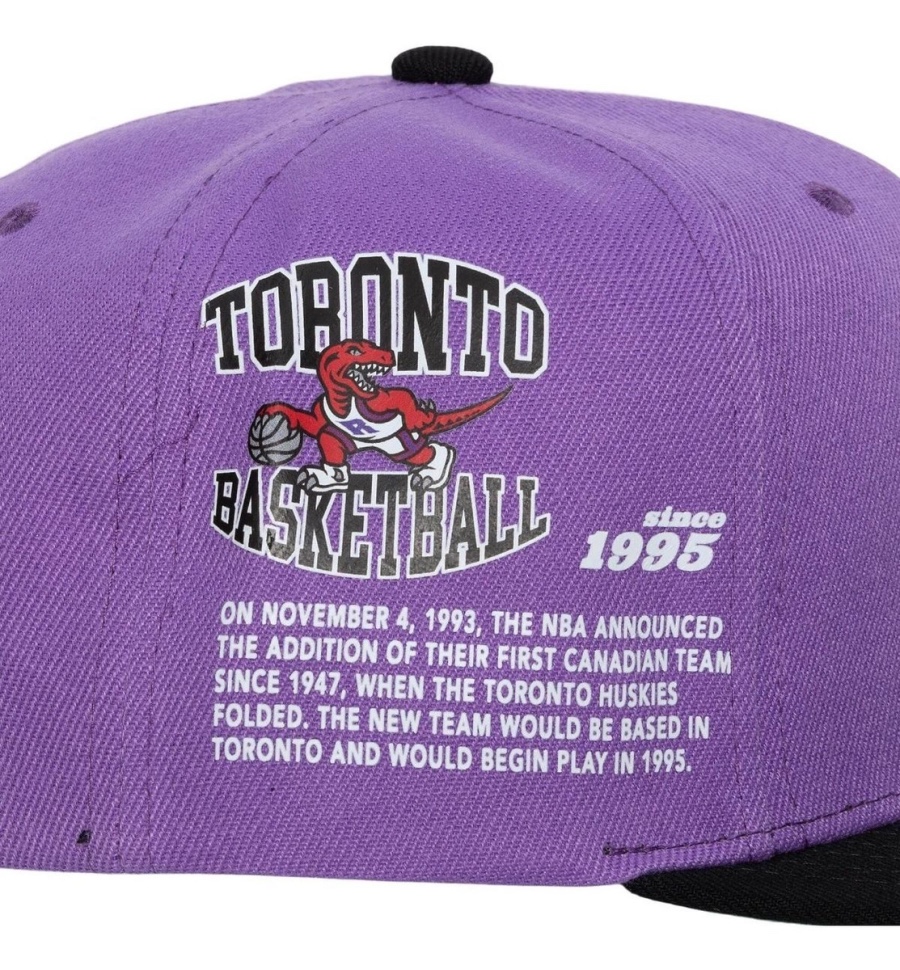 Mitchell & Ness Toronto Raptors Basketball