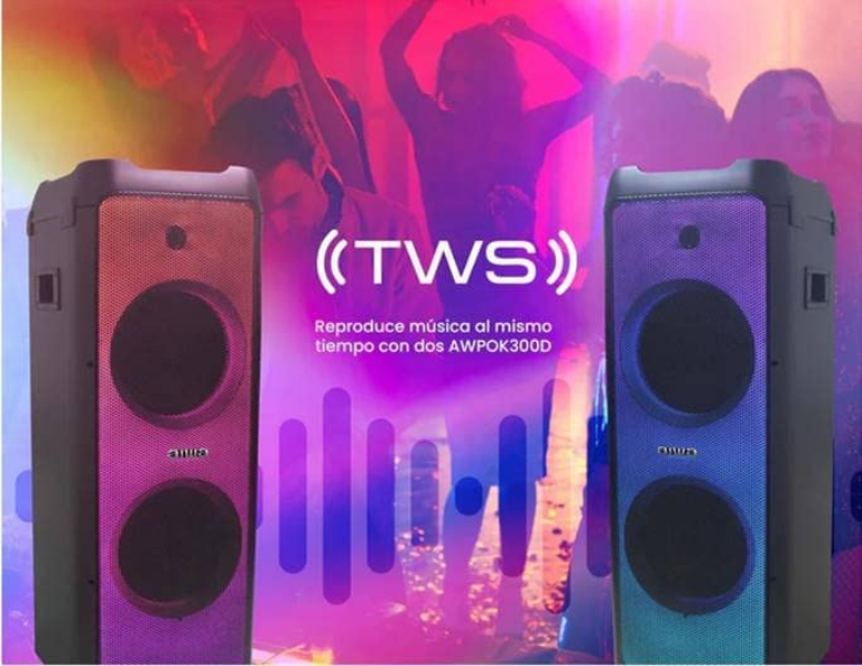 Bocina/ Baffle 3000w FLAME LINE EFECTO CONSOLA  DJ MARCA AIWA