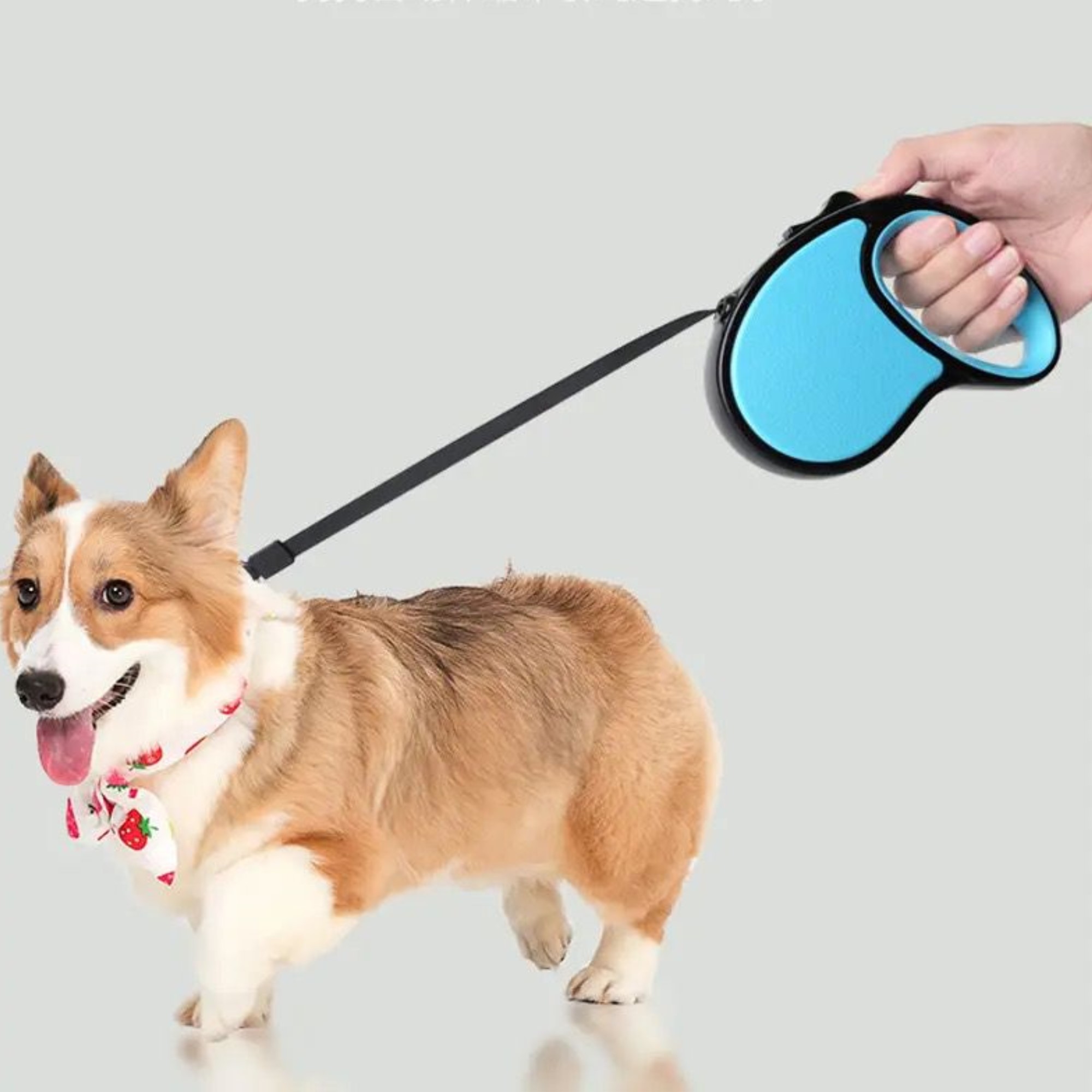 Correa Retráctil Para Perros Durable 5 Mts Hasta 15 Kg