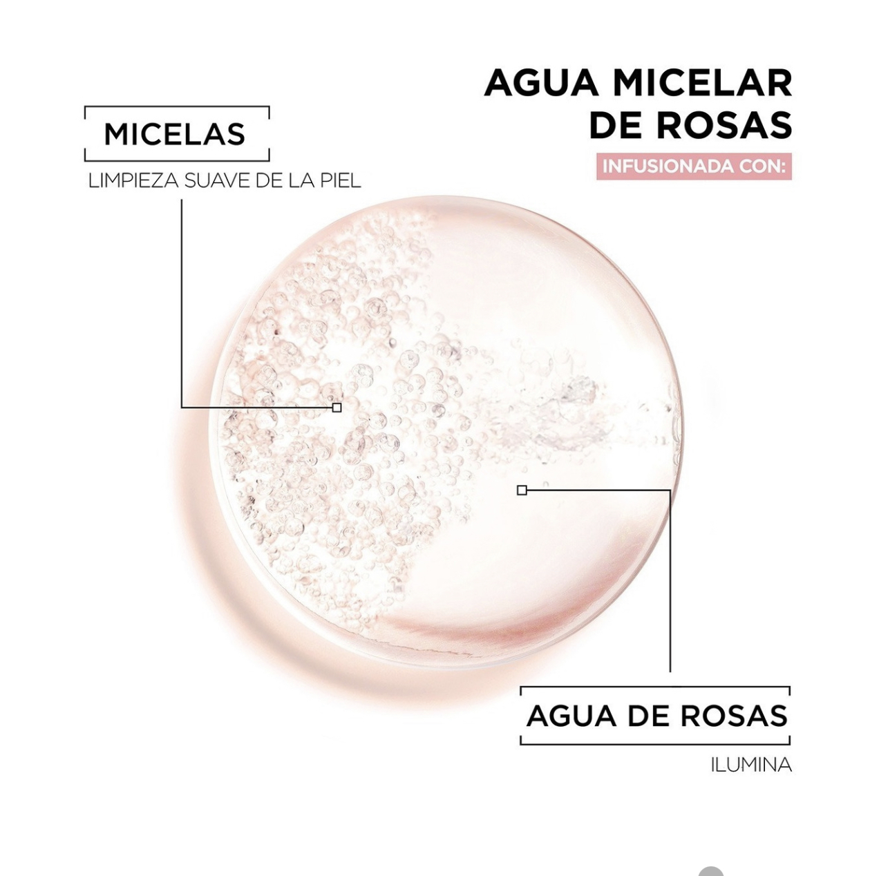 Agua Micelar Garnier Todo En 1 Con Agua De Rosas 400 Ml