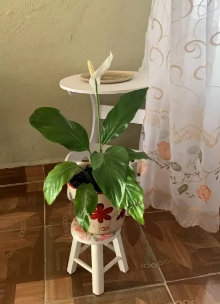 Pack 2 Banquitos De Madera Multiusos Reforzados