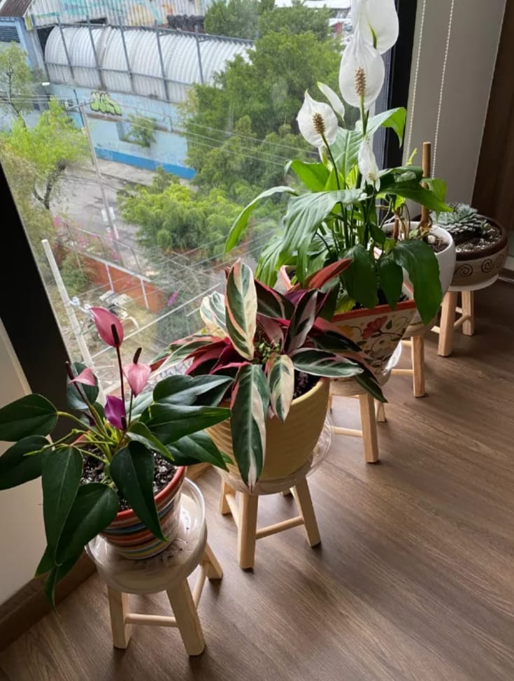 Pack 2 Banquitos De Madera Multiusos Reforzados