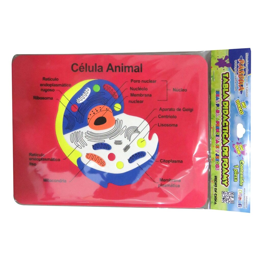Tabla didactica de Foamy Célula Animal para niños infantiles buen regalo juego educativo aprendizaje