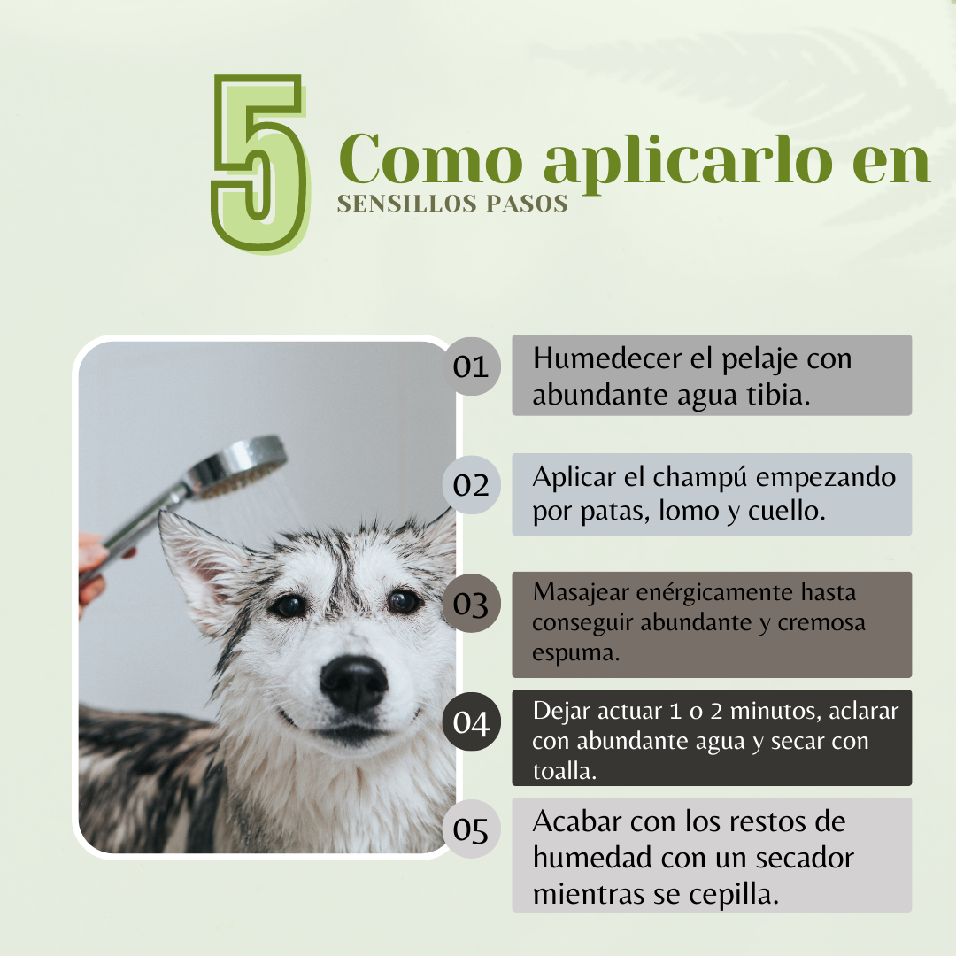 Burbur Shampoo Aloe Vera para Perros y Gatos de 400 ml