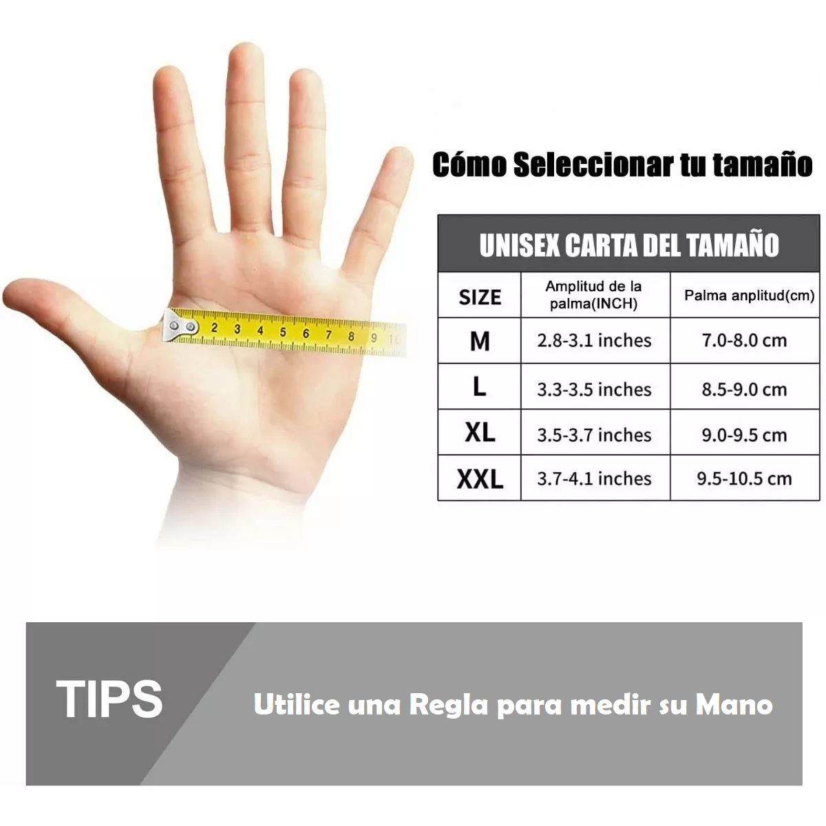  Guantes para Motociclista, Transpirable, Compatible con Pantalla Tactil, Accesorio para Motos