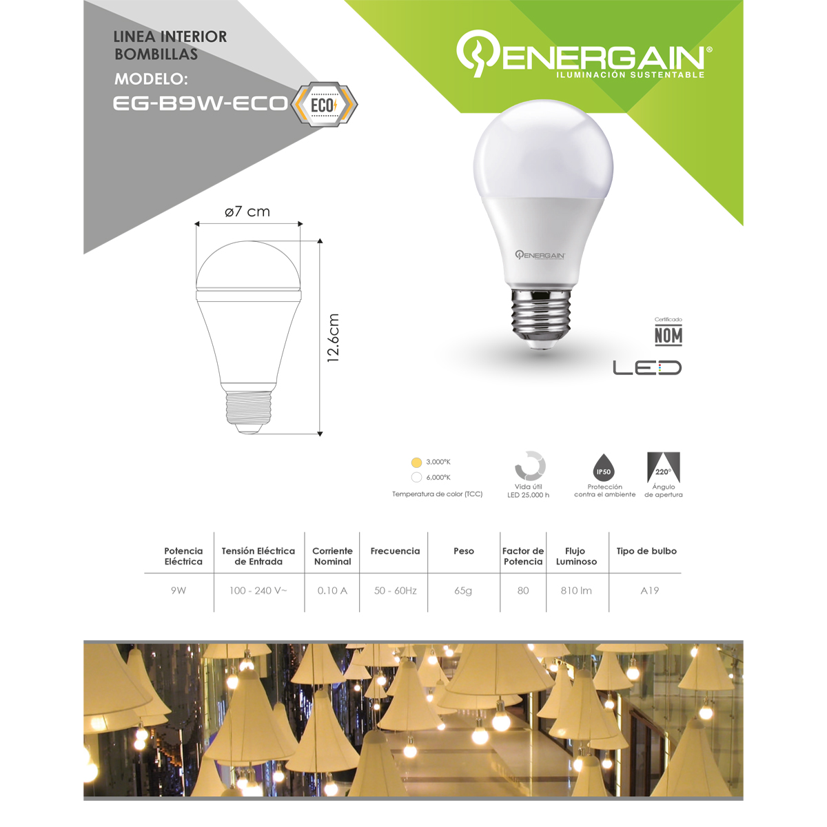 Energain Foco Led Sixpack EG-B9W-ECO-F