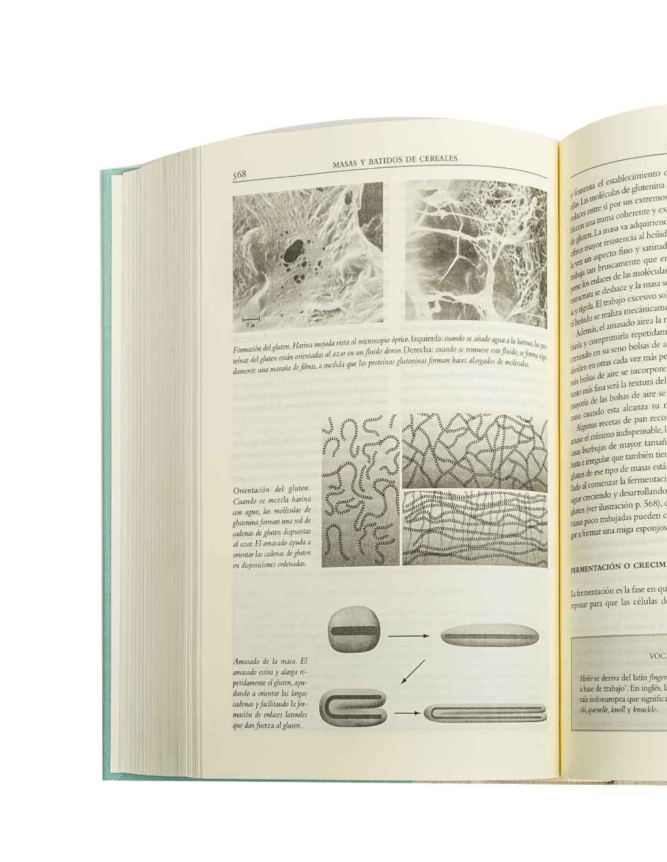 La cocina y los alimentosAutorHarold McGee