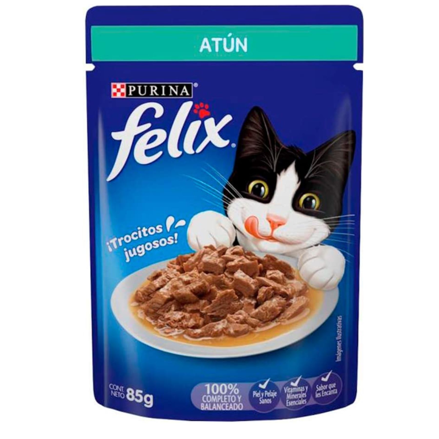 Alimento húmedo para Gato Pack 24 de 85g Purina Felix