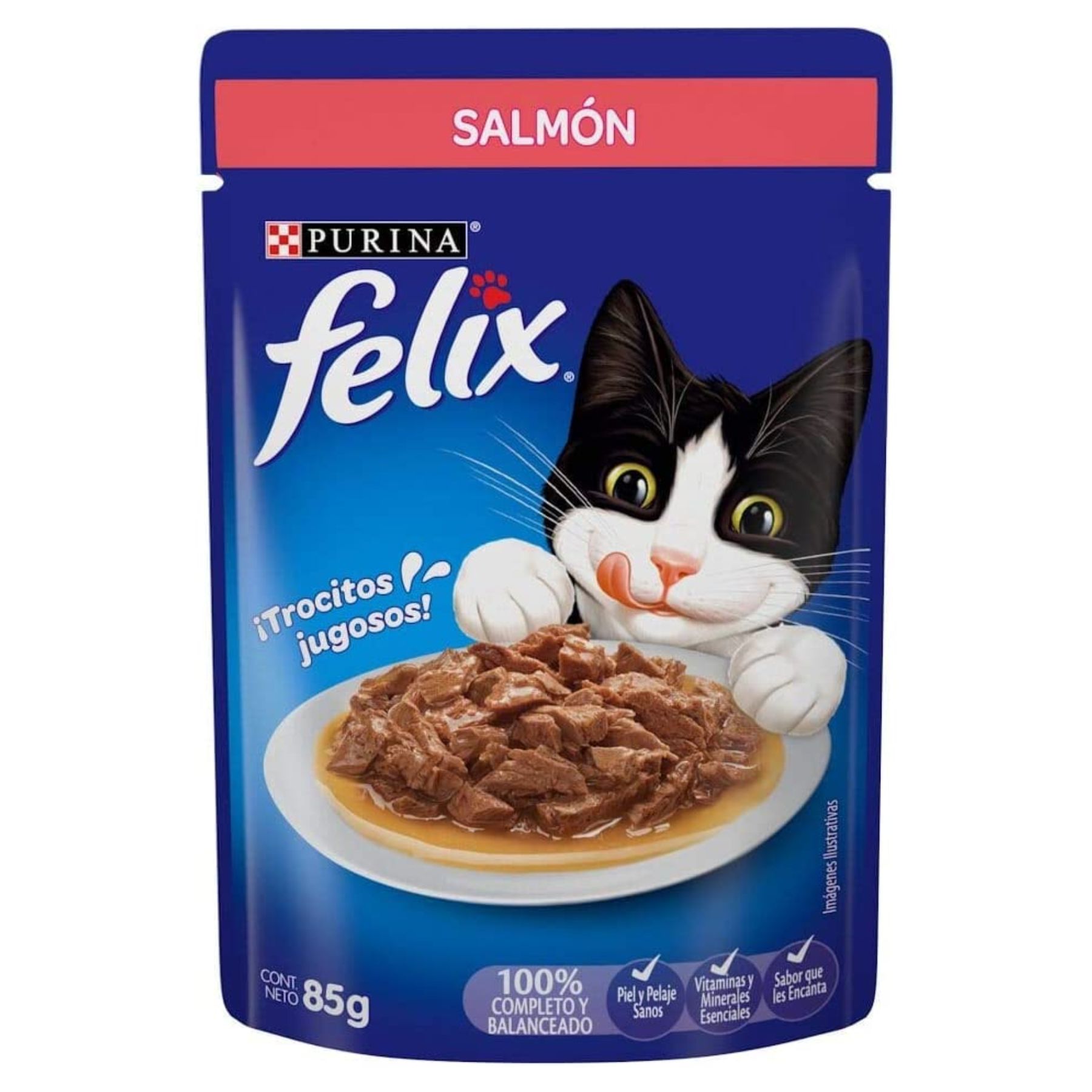 Alimento húmedo para Gato Pack 24 de 85g Purina Felix