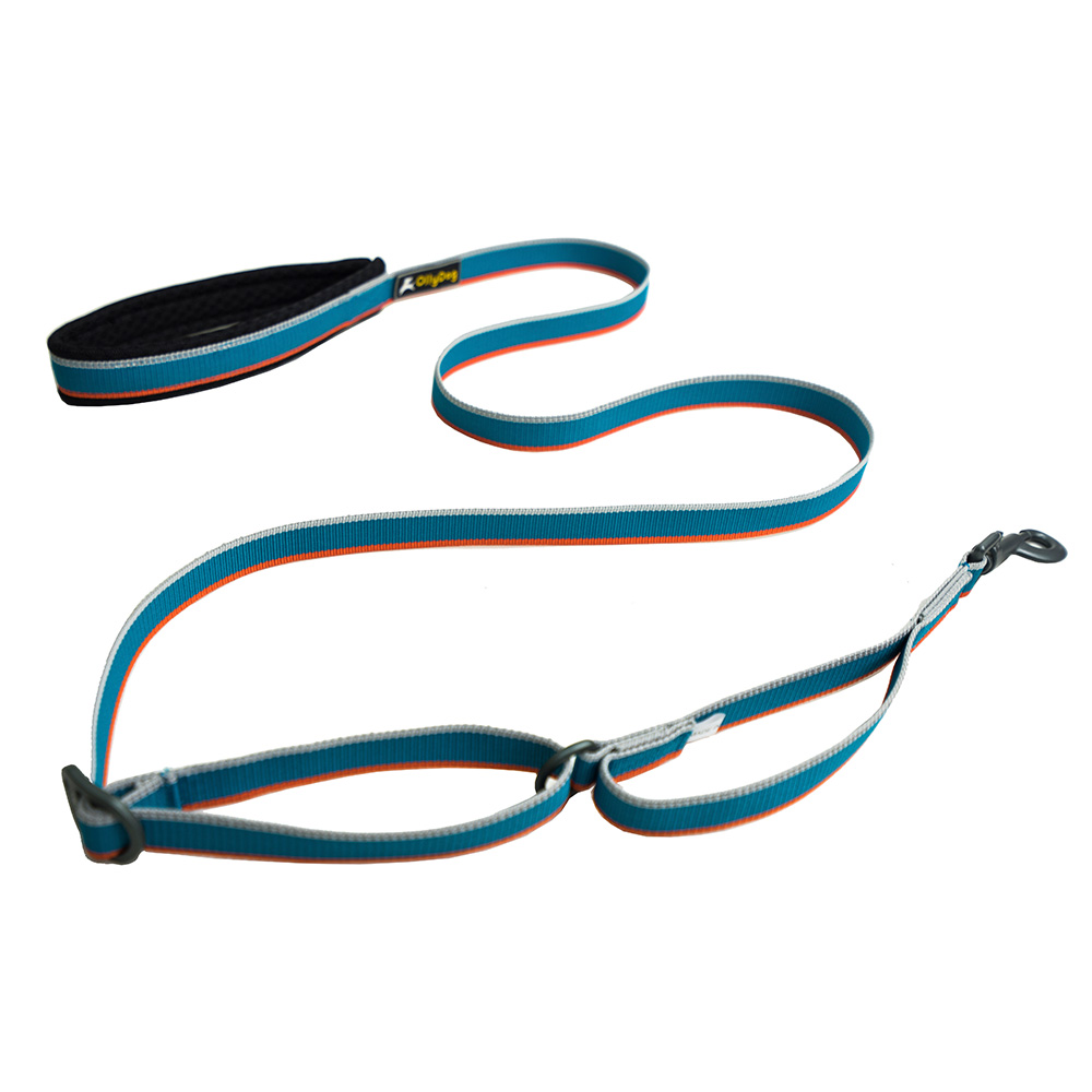 Correa Urbana para Perro AIR BLUE Azul Ollydog