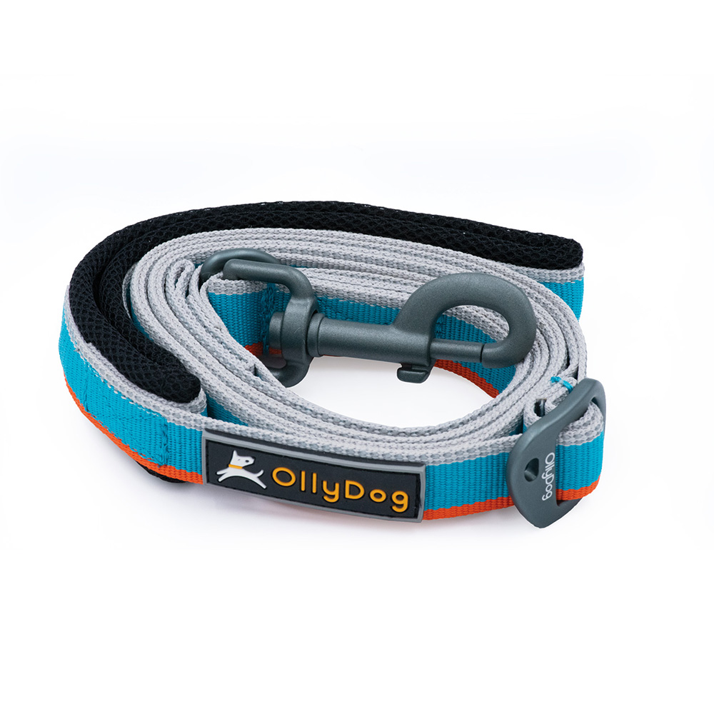 Correa Urbana para Perro AIR BLUE Azul Ollydog