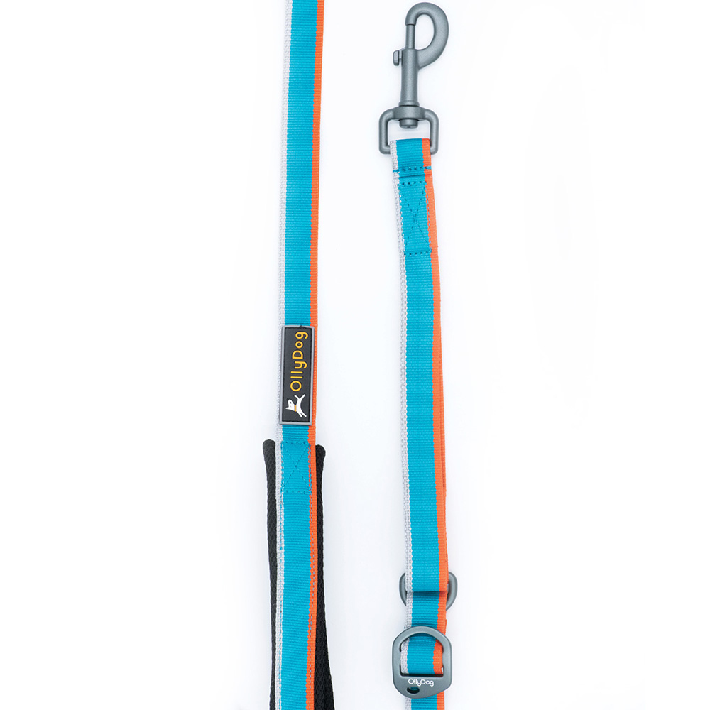 Correa Urbana para Perro AIR BLUE Azul Ollydog