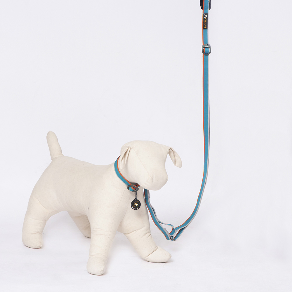 Correa Urbana para Perro AIR BLUE Azul Ollydog