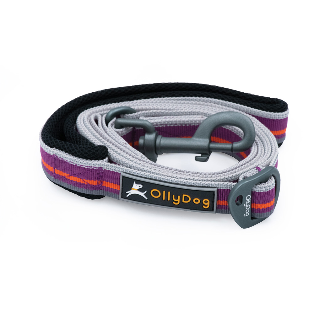 Correa Urbana para Perro WILD ASTER Violeta Ollydog