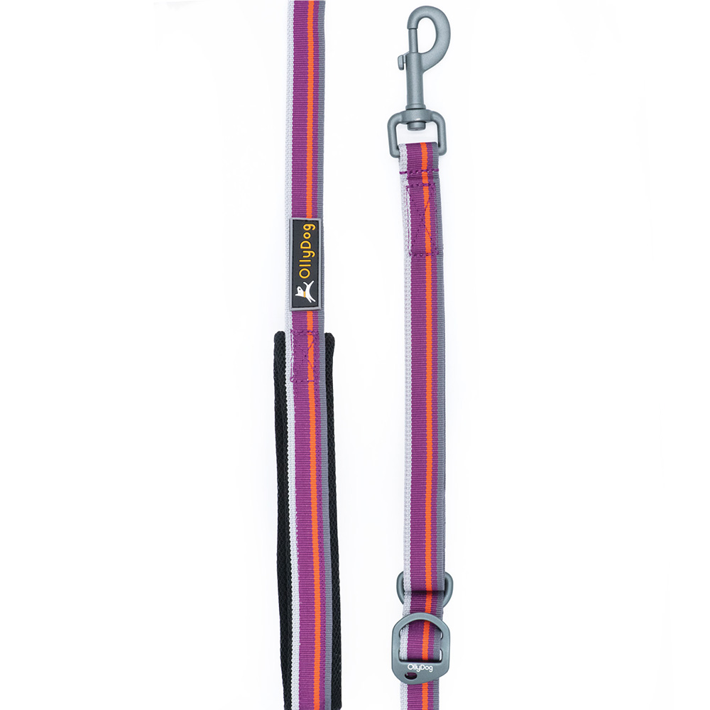 Correa Urbana para Perro WILD ASTER Violeta Ollydog