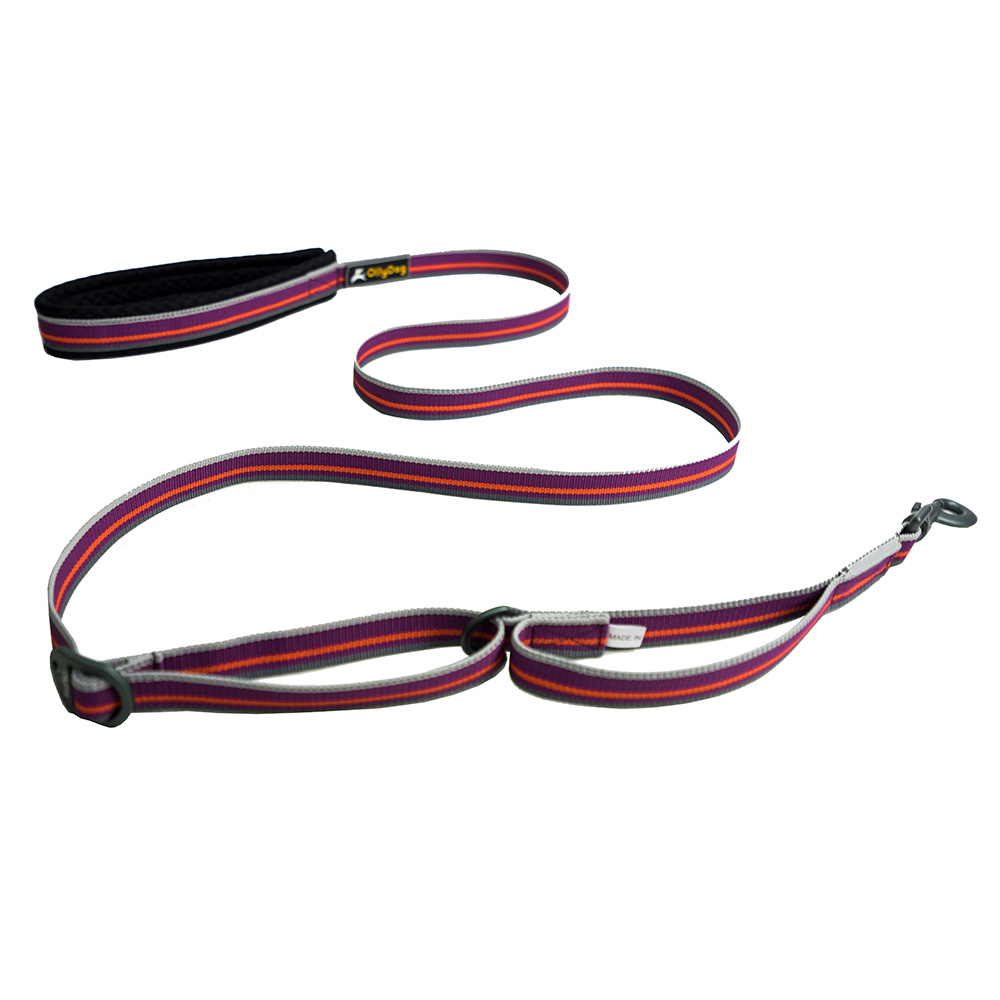 Correa Urbana para Perro WILD ASTER Violeta Ollydog