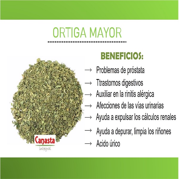 Té de Ortiga 500g Orgánico