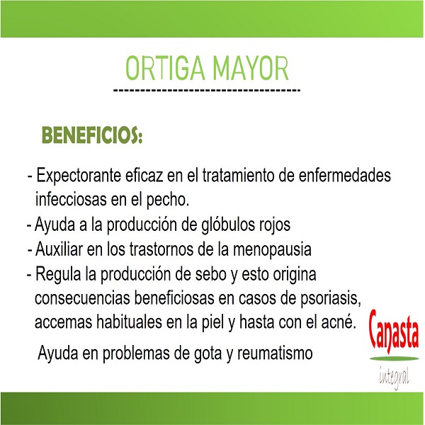 Té de Ortiga 500g Orgánico