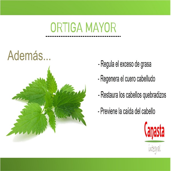 Té de Ortiga 500g Orgánico