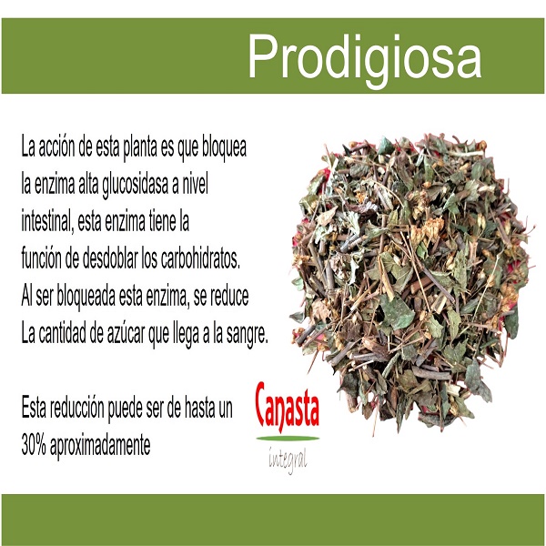 Té Prodigiosa 250g Diabetes Orgánico