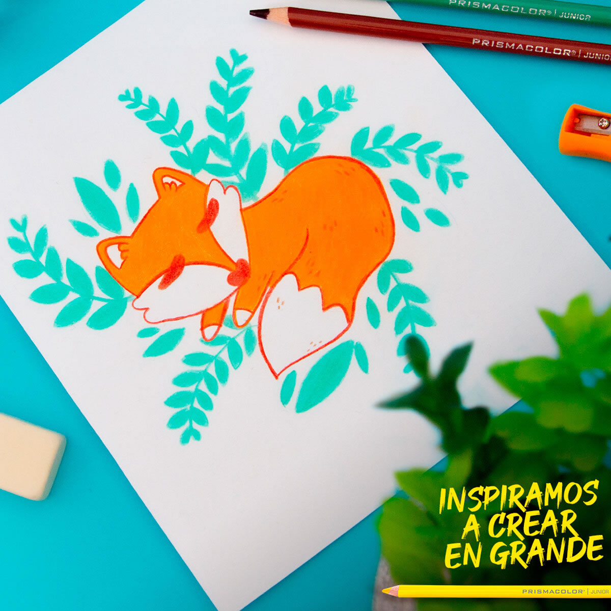 Lápices de Colores 2 Pack de 24 Pz Prismacolor Junior SMS