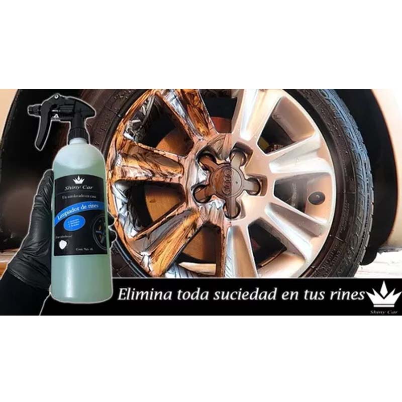 Kit Supremo Detallado Automotriz Profesional Shiny Car /v