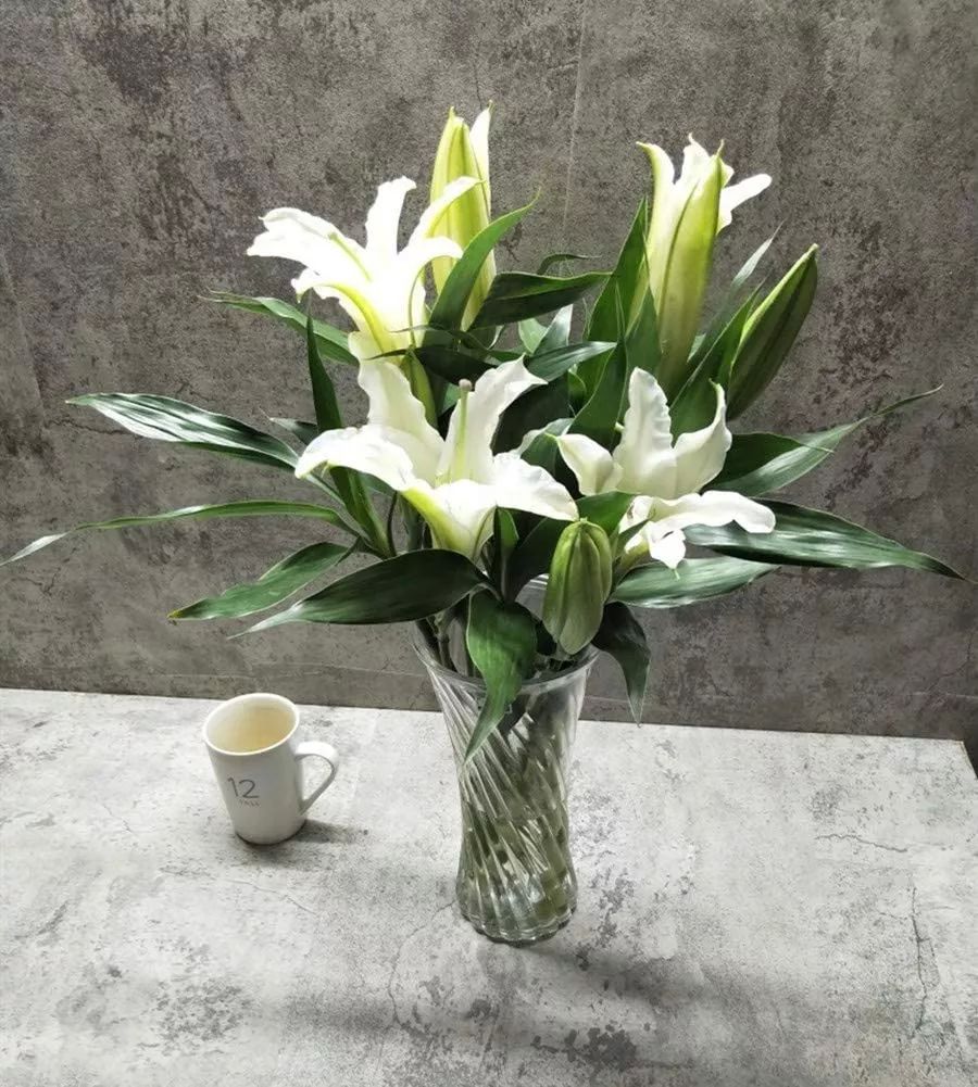 Papel Tapiz Adherible Cemento Gris Premium 10m X 45cm Tp126