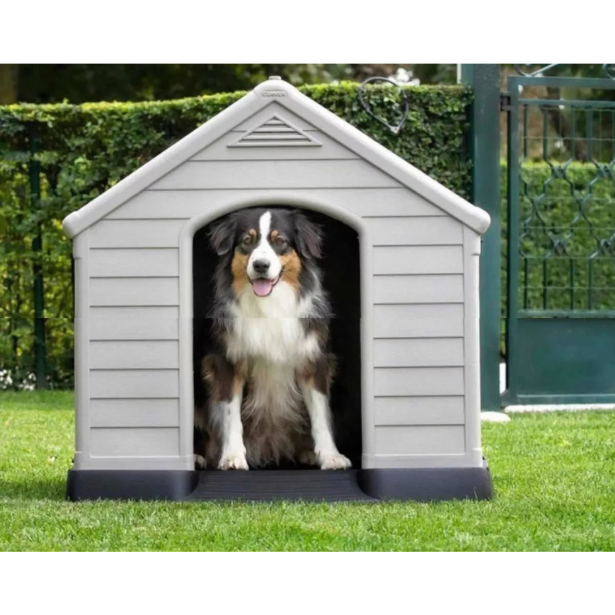 Casa Para Perros Medianos y Grandes Member's Mark 350160 SMS