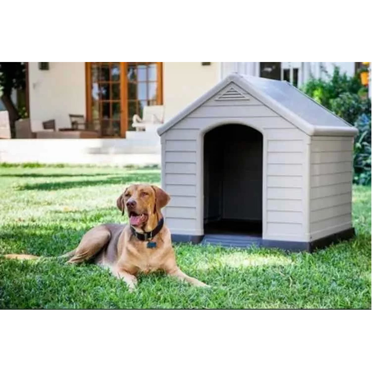 Casa Para Perros Medianos y Grandes Member's Mark 350160 SMS