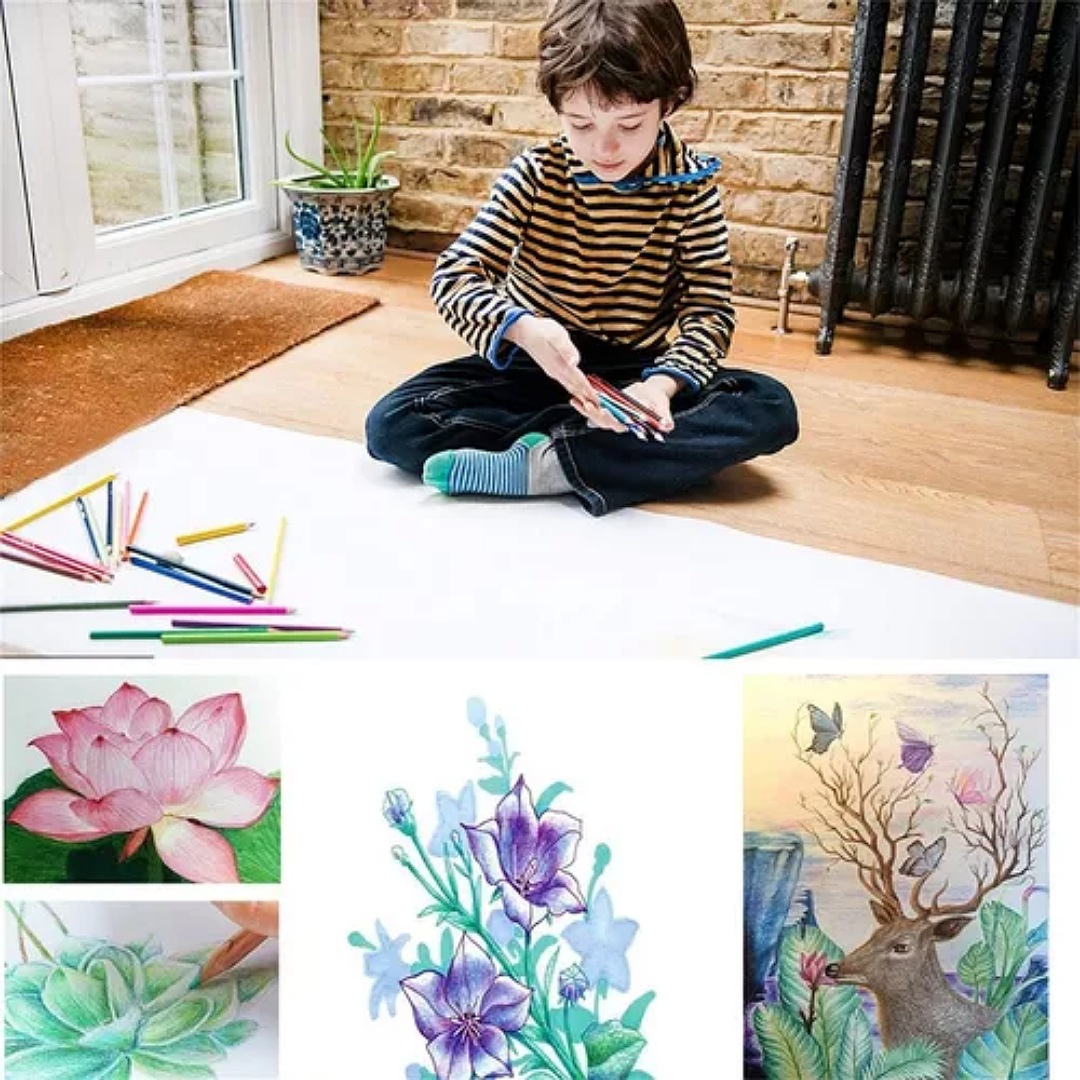 50 Lápices De Colores Set De Arte De Lápiz Color Profesional