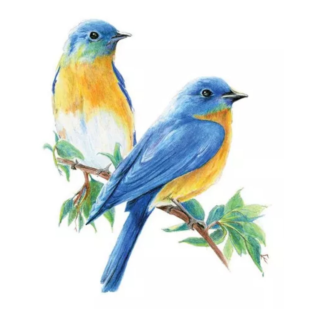 Lápices De Colores A Base De Aceite Creativos, 72 Piezas