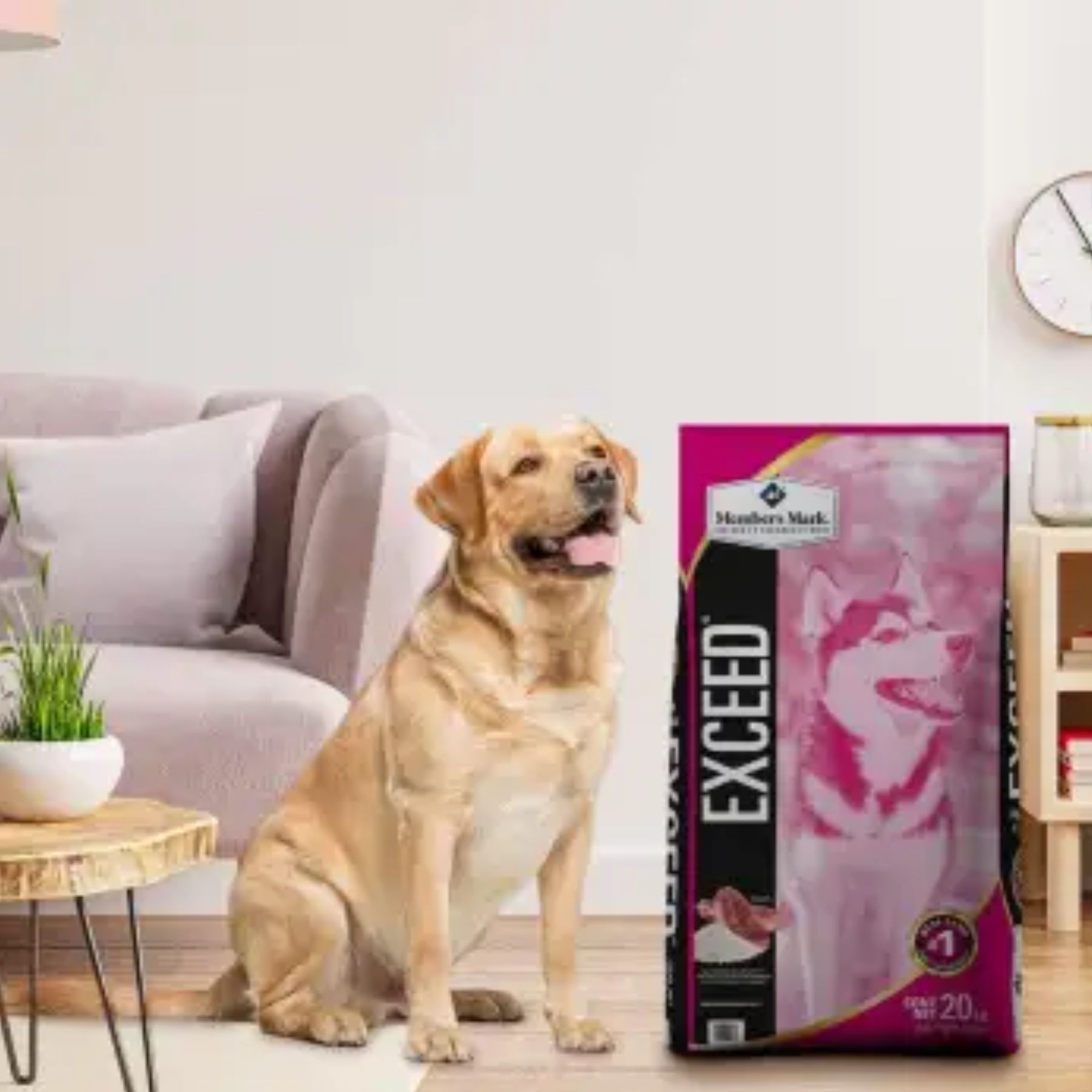 Alimento para Perro Exceed Cordero y Arroz 20kg  Member'SMark SMS-ROSA