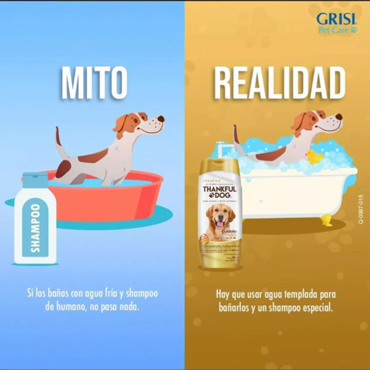 Shampoo thankful dog con avena 400ml