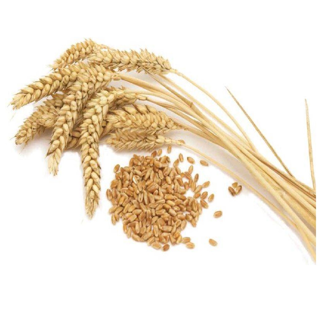 Semolina De Trigo 44Kg