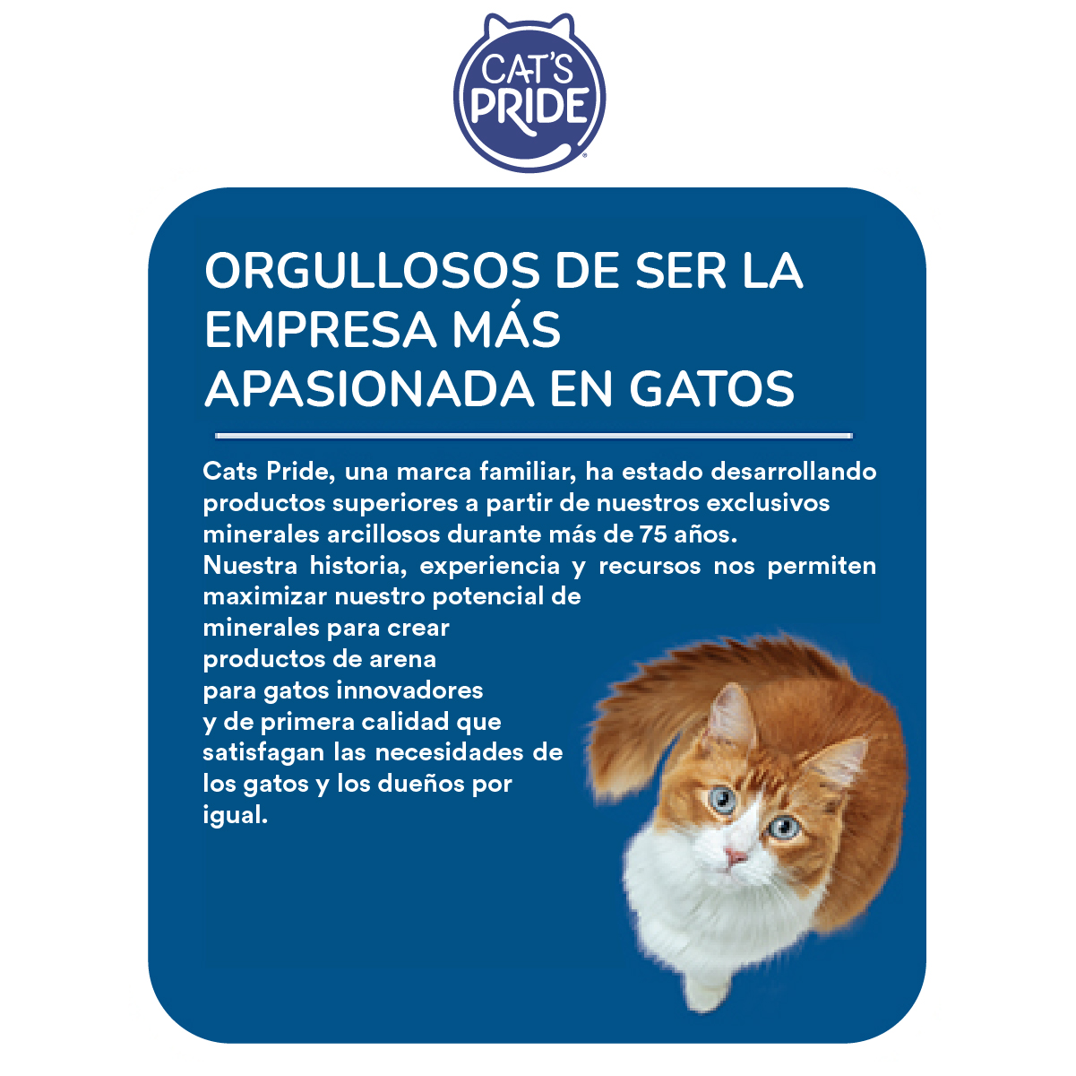 Cat's Pride Arena para gato Natural, Elimina olores, Forma grumos sólidos y Libre de fragancia, 10lb