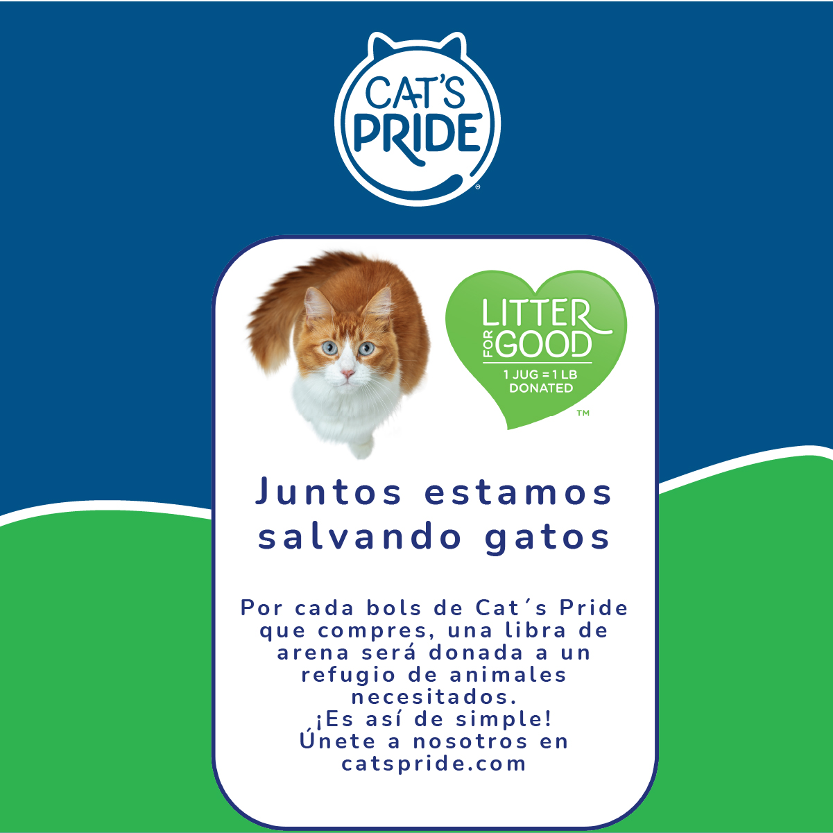 Cat's Pride Arena para gatos perfumada con bicarbonato de sodio para una frescura duradera, 10 lb