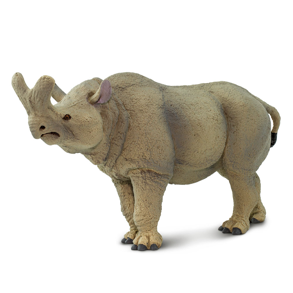 Figura De Plastico Megacerops Safari Ltd Escala De Dinosaurio Para Niños.
