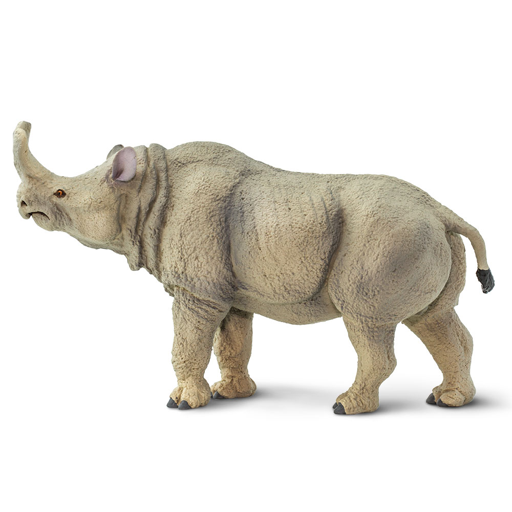 Figura De Plastico Megacerops Safari Ltd Escala De Dinosaurio Para Niños.