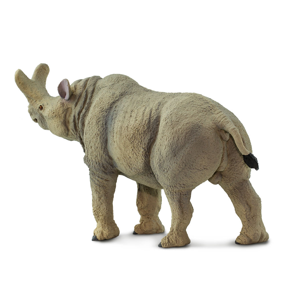 Figura De Plastico Megacerops Safari Ltd Escala De Dinosaurio Para Niños.