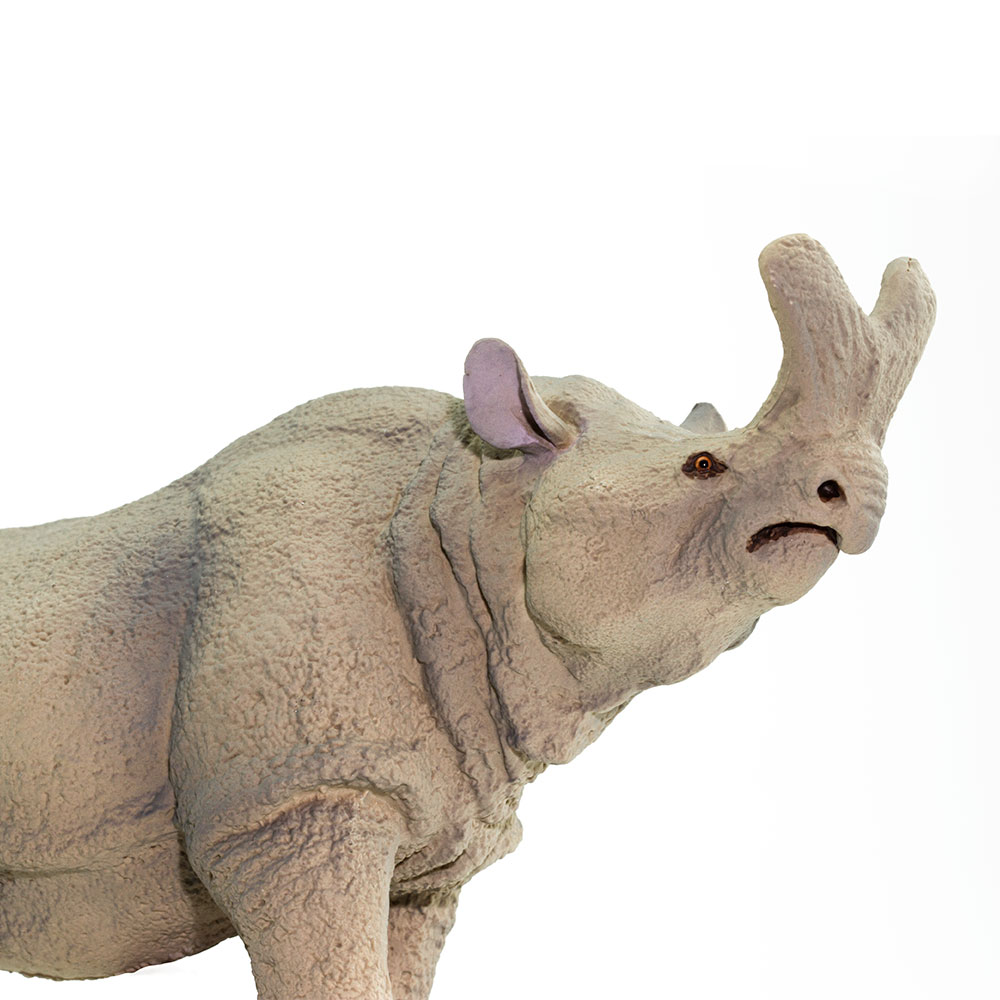 Figura De Plastico Megacerops Safari Ltd Escala De Dinosaurio Para Niños.