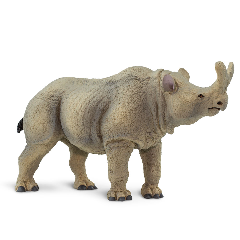 Figura De Plastico Megacerops Safari Ltd Escala De Dinosaurio Para Niños.