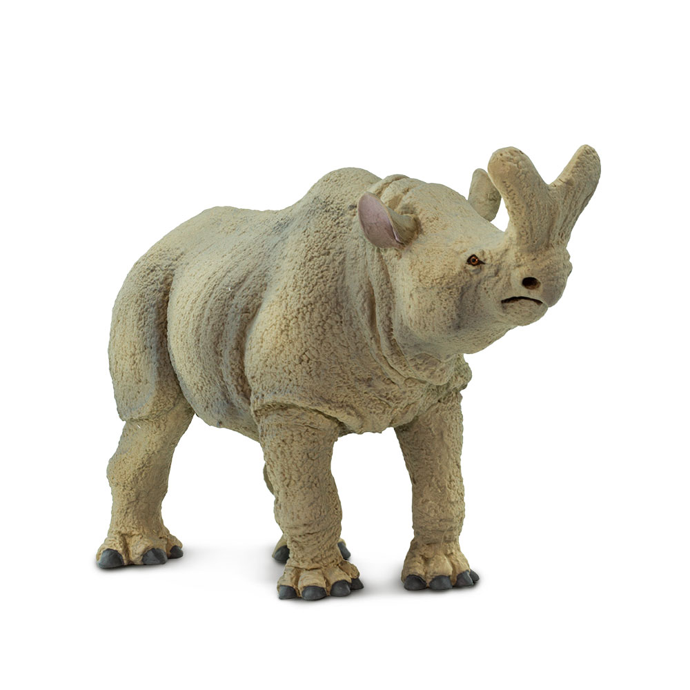 Figura De Plastico Megacerops Safari Ltd Escala De Dinosaurio Para Niños.