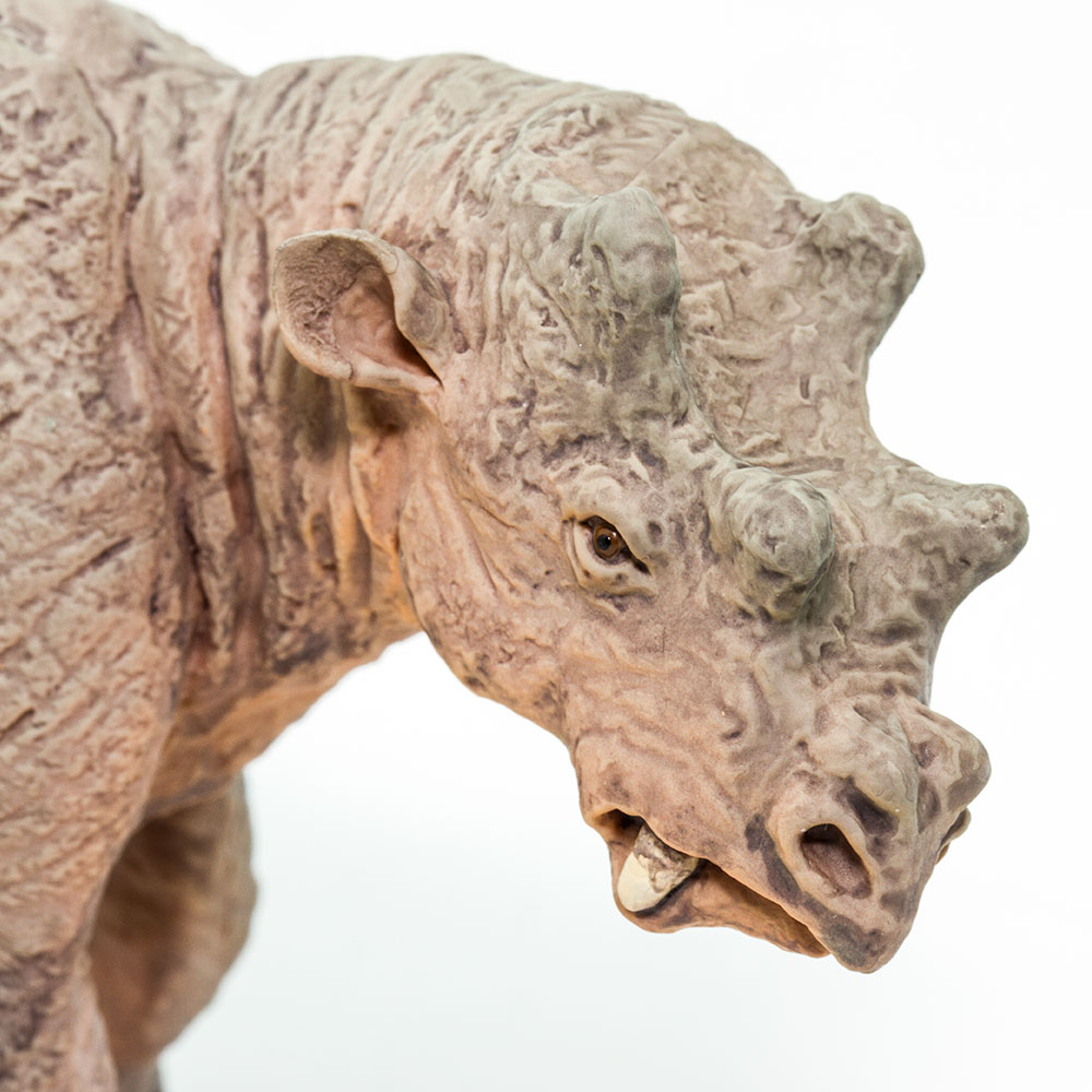 Figura De Plastico Uintatherium Safari Ltd Escala De Dinosaurio Para Niños.